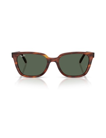 RAY-BAN - RB2243D - 954/71 - 55 2