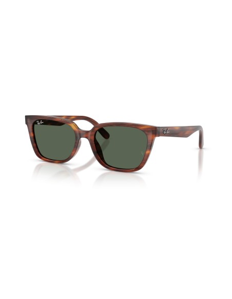 RAY-BAN - RB2243D - 954/71 - 55