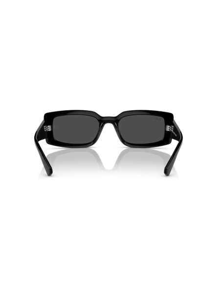 0RB4395__667787__P21__shad__bk