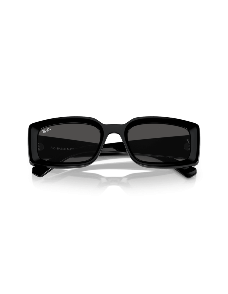 0RB4395__667787__P21__shad__cfr