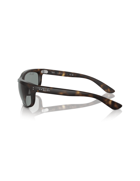 0RB4089__894_56__P21__shad__lt