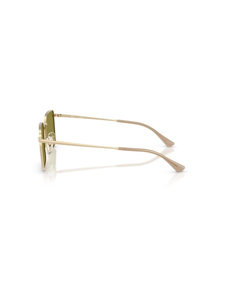 RAY-BAN - RB3782 - 9213/2 - 53