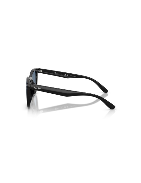 RAY-BAN - RB4420 - 601/2V - 65