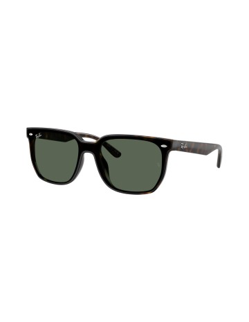 RAY-BAN - RB4466D - 710/71 - 47