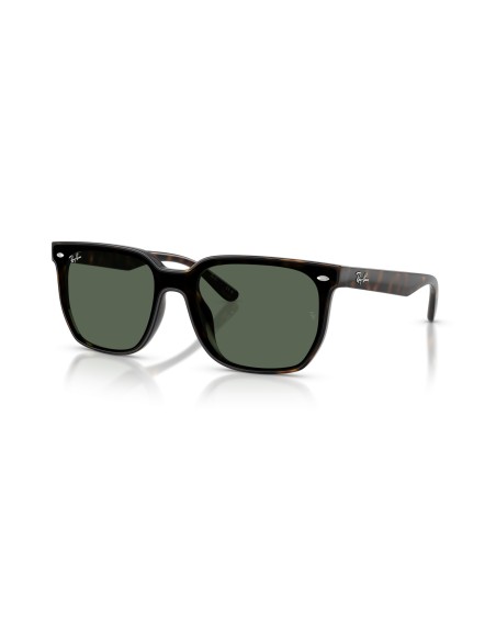 RAY-BAN - RB4466D - 710/71 - 47