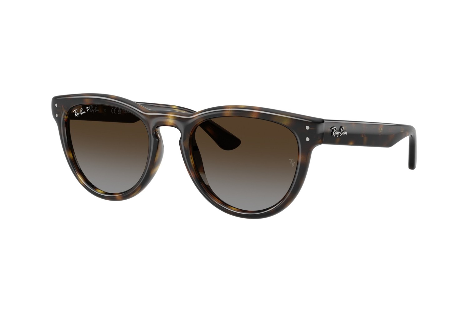 RAY-BAN - RB2237 - 710/T5 - 51