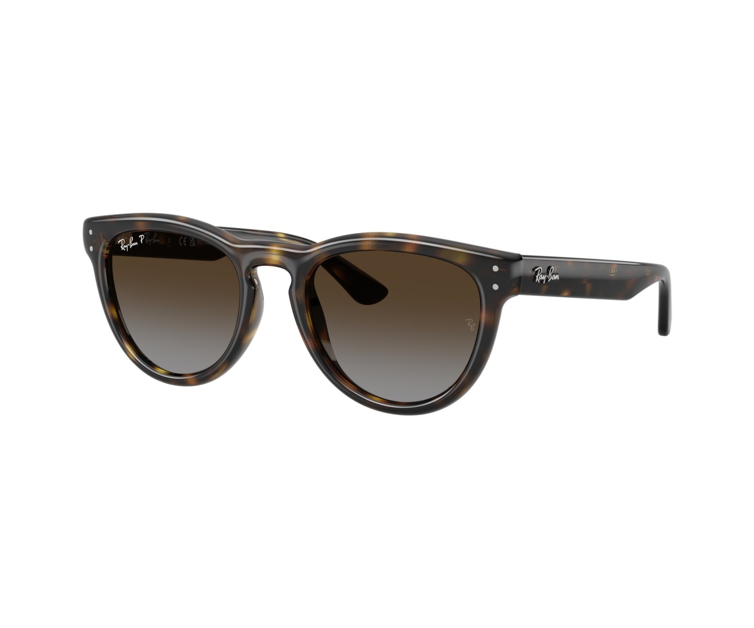 RAY-BAN - RB2237 - 710/T5 - 51