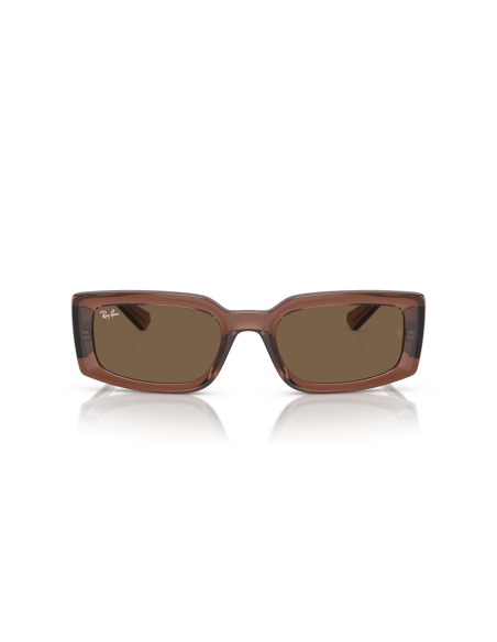 0RB4395__667873__P21__shad__fr