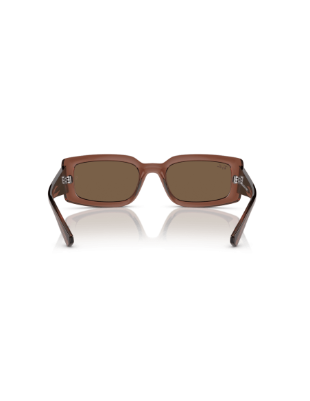 0RB4395__667873__P21__shad__bk