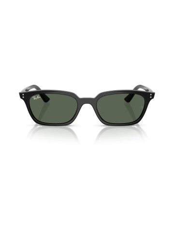RAY-BAN - ZAYA - RB4456 - 667771 - 50 2