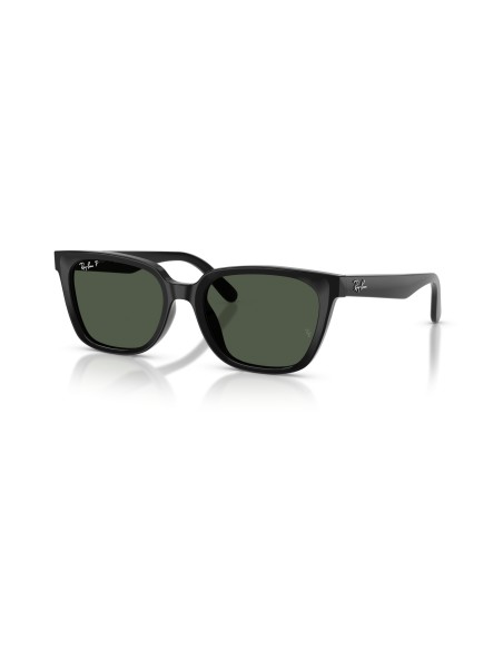 RAY-BAN - RB2243D - 901/9A - 55
