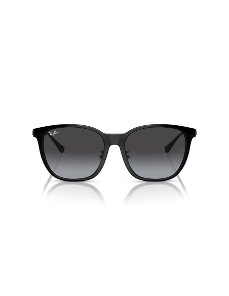 0RB4333D__601_8G__P21__shad__fr