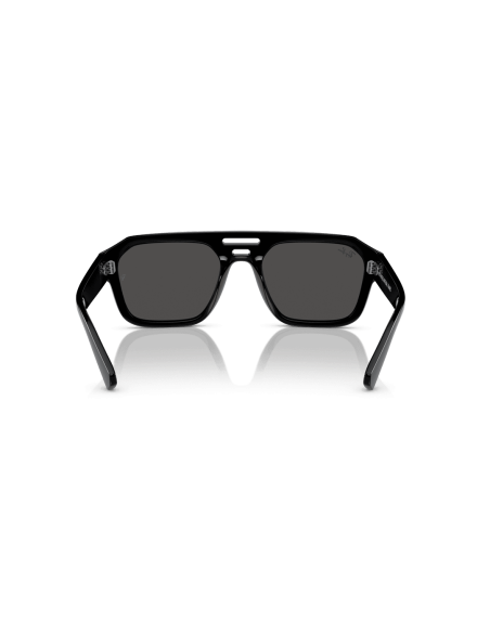 0RB4397__667787__P21__shad__bk