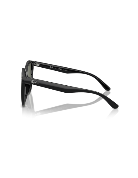 0RB4423D__601_9A__P21__shad__lt