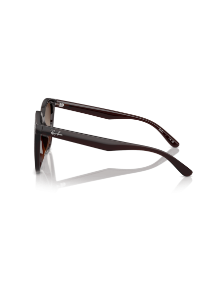 0RB4423D__714_13__P21__shad__lt