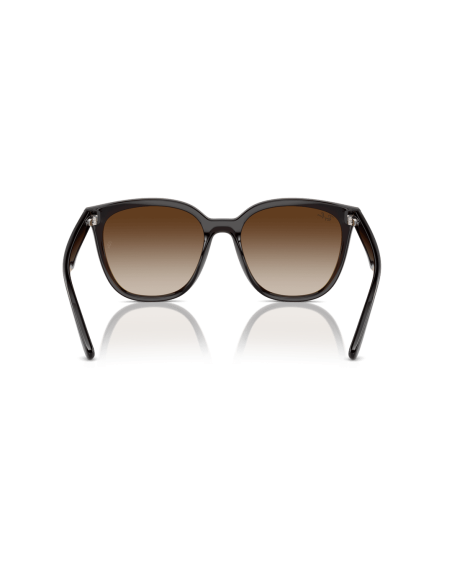 0RB4423D__714_13__P21__shad__bk