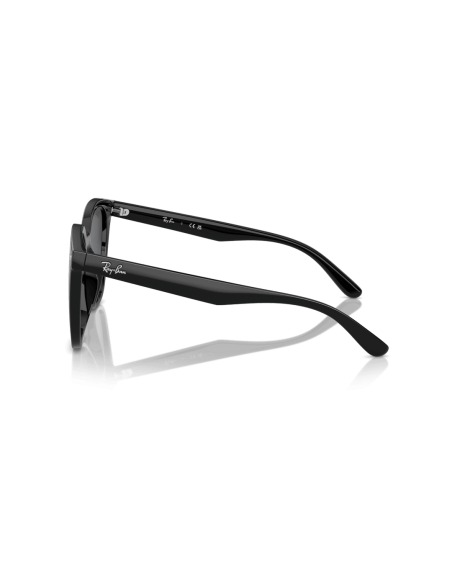 0RB4423D__601_87__P21__shad__lt