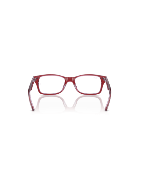 0RY1531__3960__P21__shad__bk