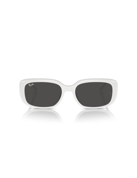 0RB4421D__677287__P21__shad__fr