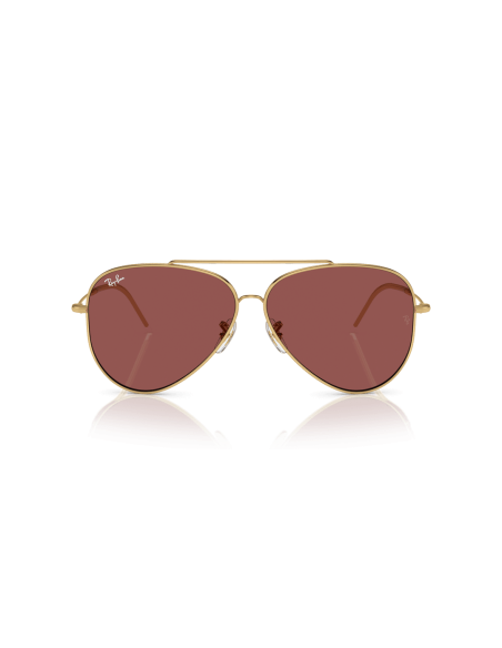 0RBR0101S__001_69__P21__shad__fr