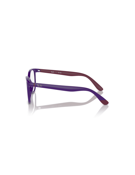 0RY1631__3962__P21__shad__lt