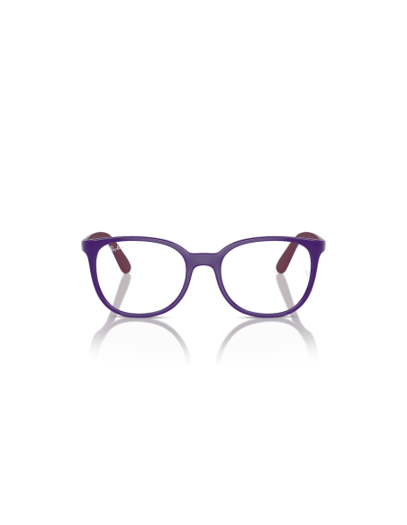 0RY1631__3962__P21__shad__fr