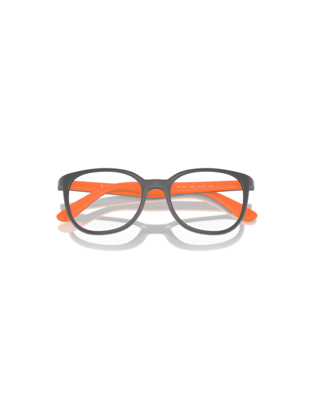 0RY1631__3963__P21__shad__cfr