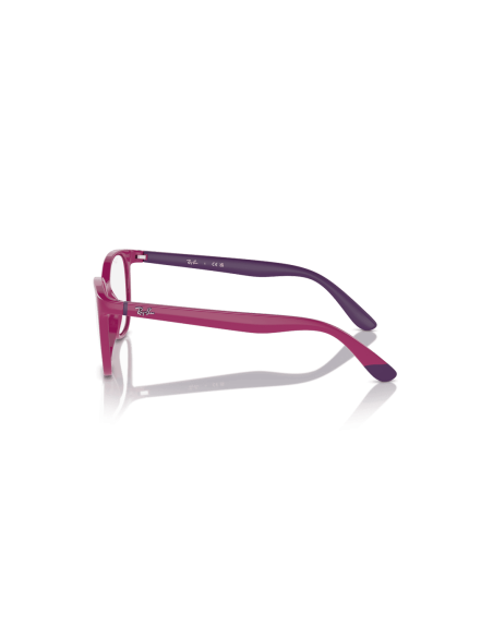 0RY1631__3933__P21__shad__lt