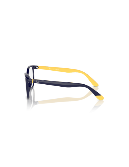 0RY1631__3937__P21__shad__lt