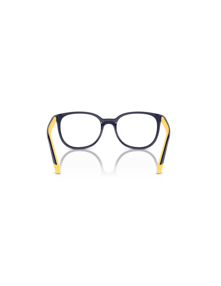 0RY1631__3937__P21__shad__bk