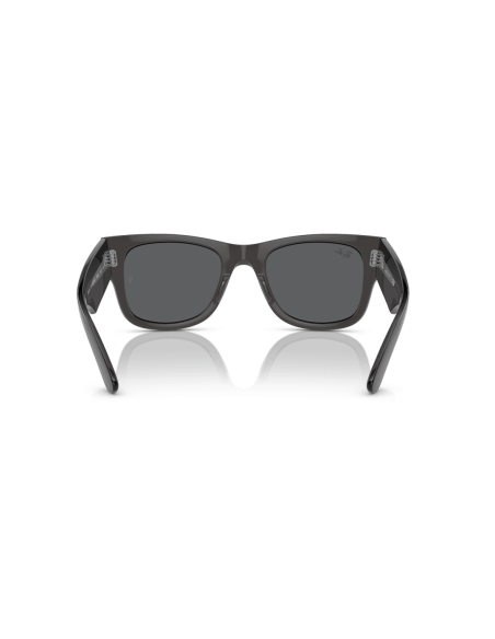 0RB0840S__1406B1__P21__shad__bk