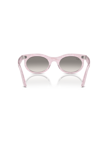 0RB2242__138432__P21__shad__bk