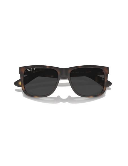 0RB4165__865_87__P21__shad__cfr