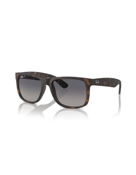 0RB4165__865_8S__P21__shad__qt