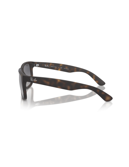 0RB4165__865_8S__P21__shad__lt