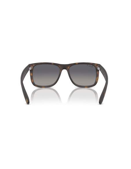 0RB4165__865_8S__P21__shad__bk