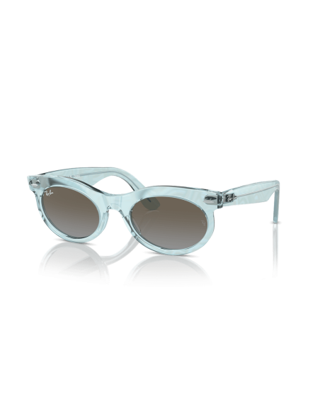 0RB2242__138596__P21__shad__qt