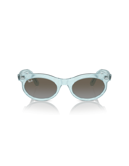 0RB2242__138596__P21__shad__fr