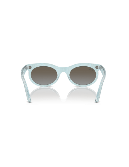 0RB2242__138596__P21__shad__bk