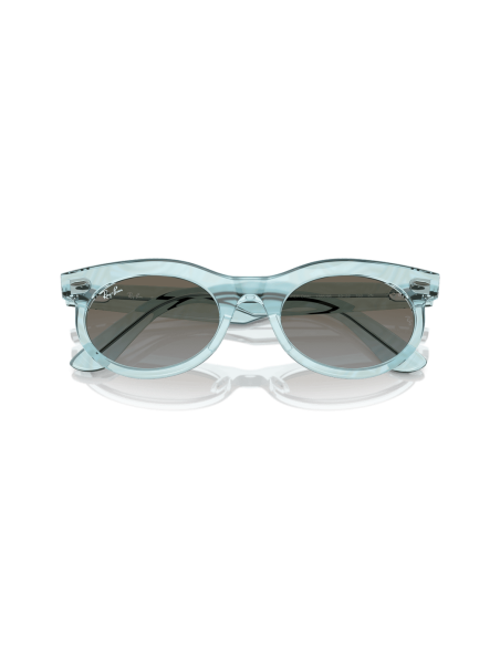 0RB2242__138596__P21__shad__cfr