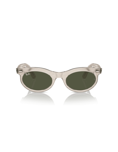 0RB2242__138331__P21__shad__fr