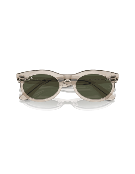 0RB2242__138331__P21__shad__cfr