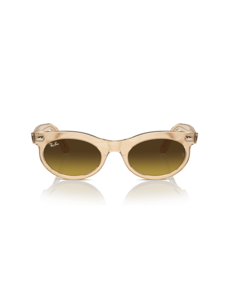 0RB2242__138685__P21__shad__fr