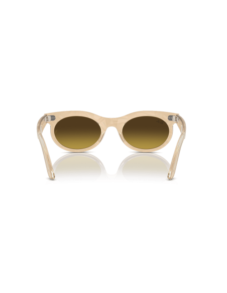 0RB2242__138685__P21__shad__bk