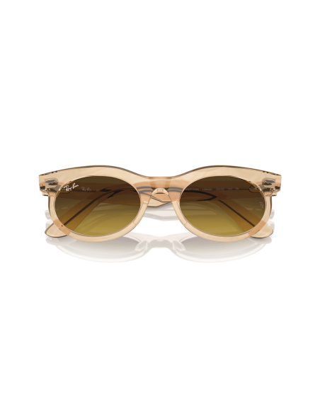 0RB2242__138685__P21__shad__cfr