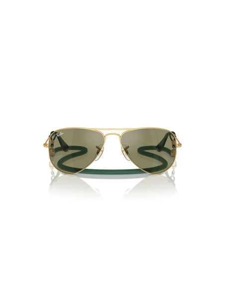 0RJ9506S__223_6R__P21__shad__fr