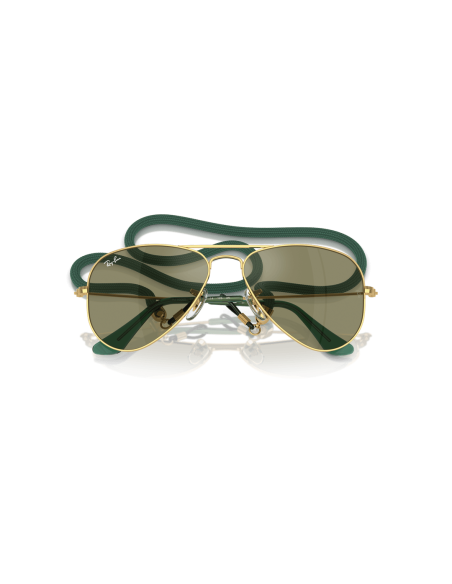 0RJ9506S__223_6R__P21__shad__cfr