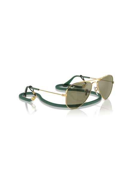 0RJ9506S__223_6R__P21__shad__al2