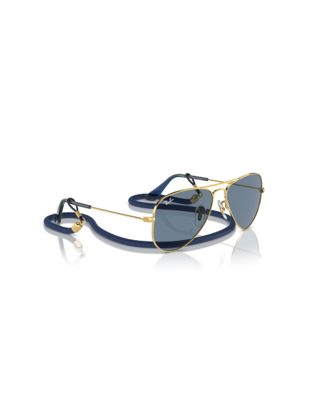 0RJ9506S__223_1U__P21__shad__al2