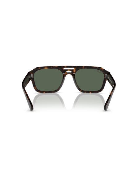 0RB4397__135971__P21__shad__bk